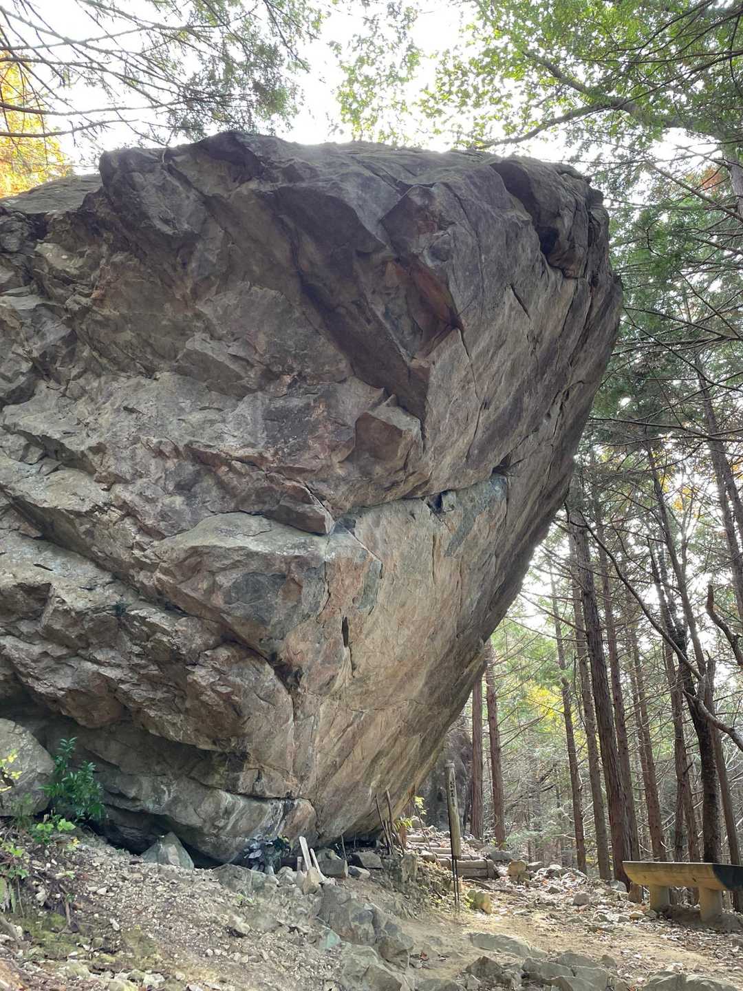 行者山-剣尾山 往復コースの写真