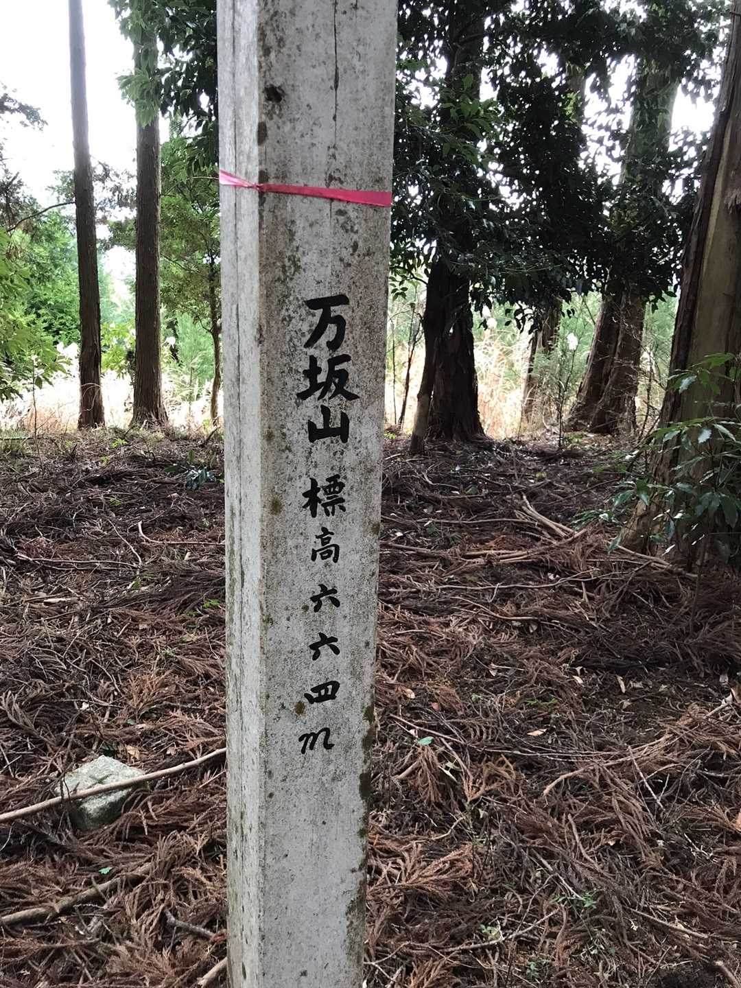 「着きましたね」
「よし、とっとと下りるぞ」
