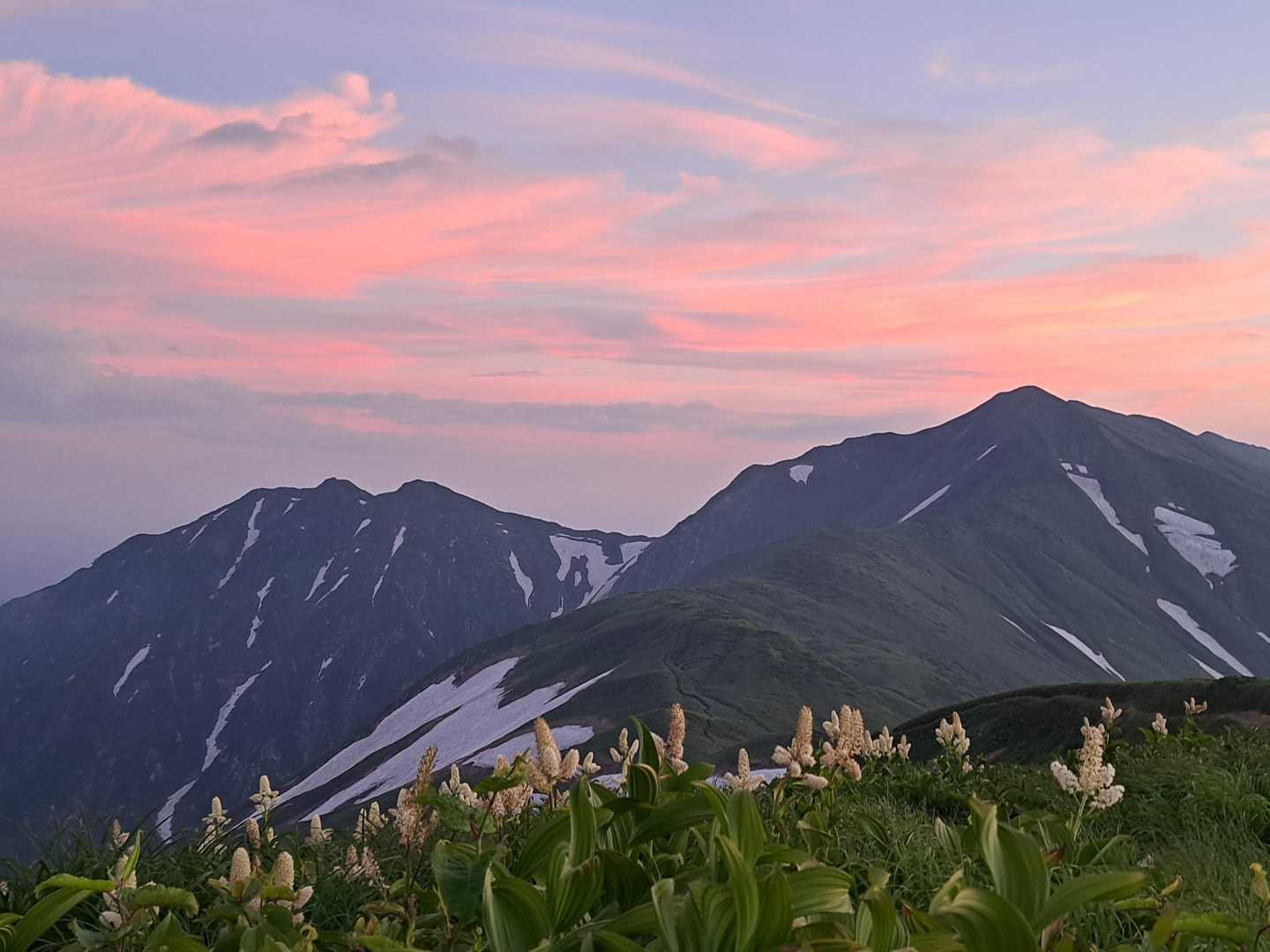 花の飯豊連峰縦走🌼🏵️🌱 / 和の登山データ | YAMAP / ヤマップ