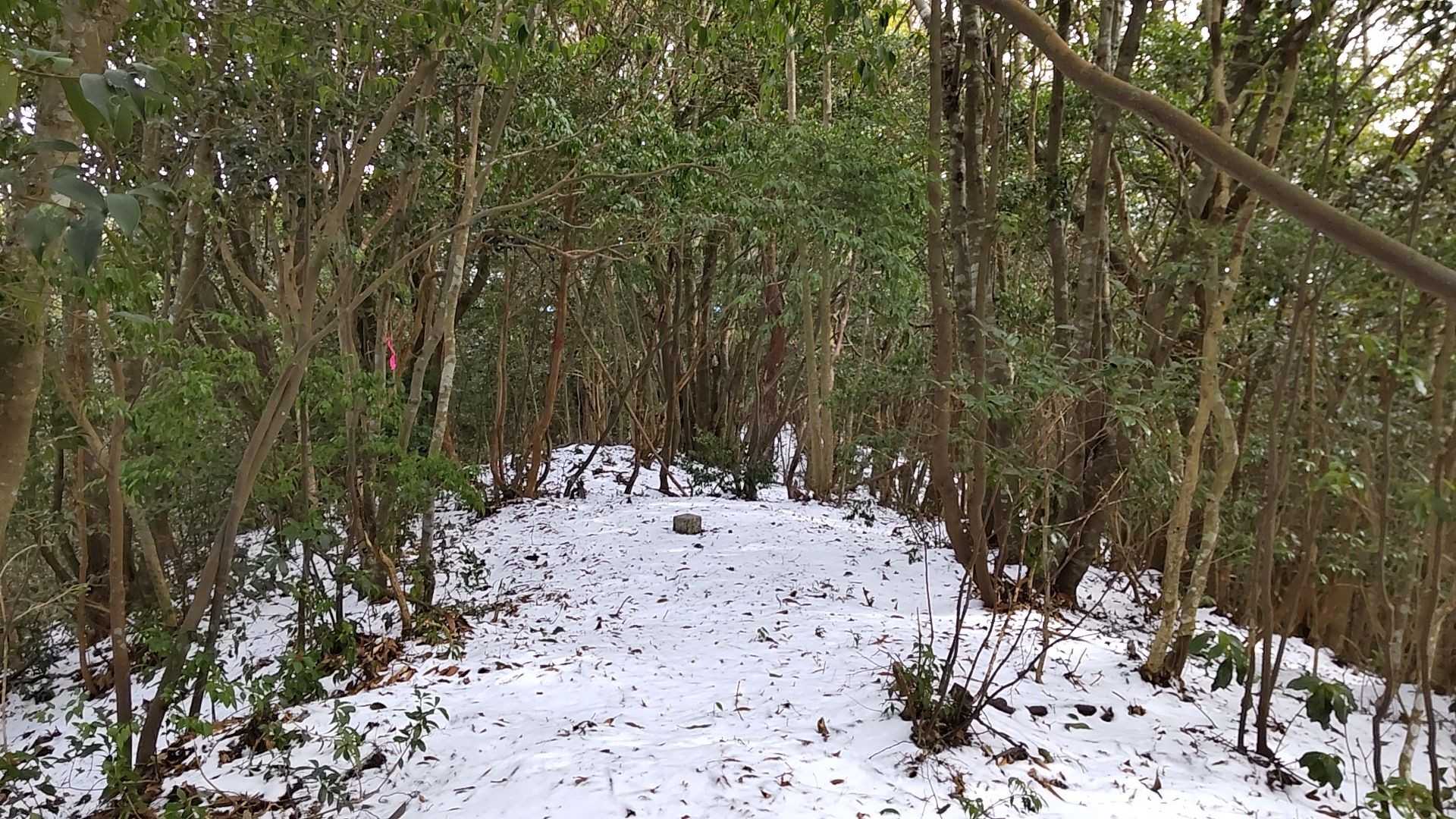 山頂✨