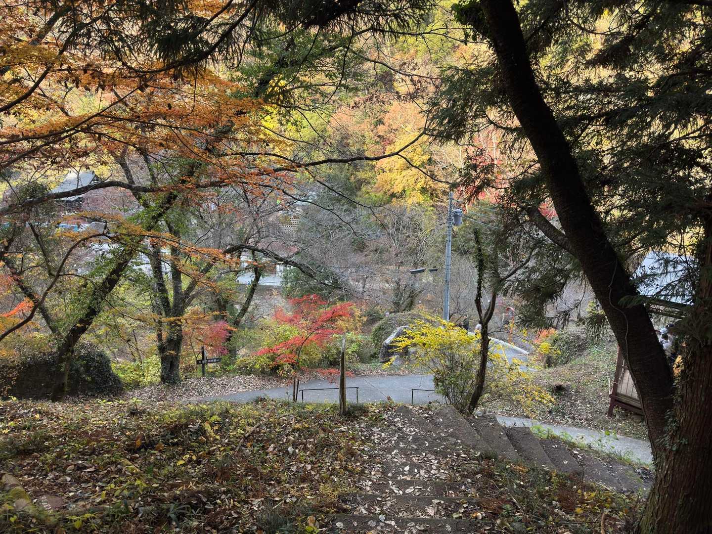階段、膝が痛かった…