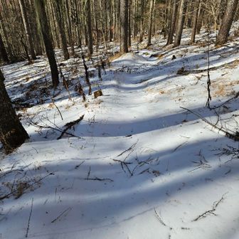 林道へ向かう登山道ですが
林道が冬季通行止めだし
歩く人なんて居ないよね😅
真っ白な登山道です☃️❄️

あ！歩く人が居る⁉️


hiro@が居た(笑)