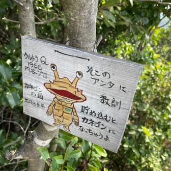貯め込む金が欲しい💰