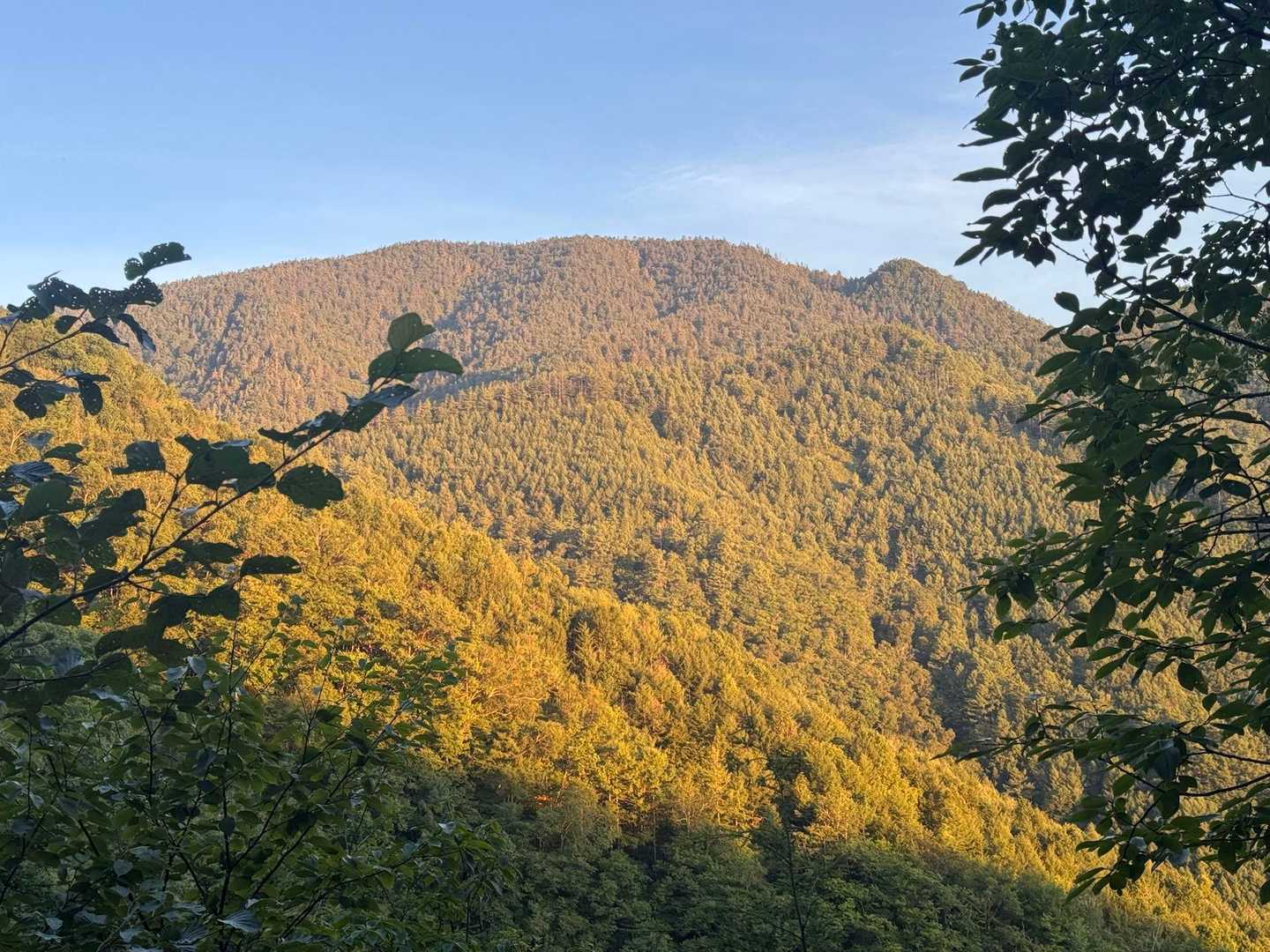 途中で通過する鍋冠山（なべかんむりやま）もちょっとだけモルっています。