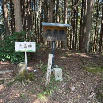 大金峰⛰️1396M
眺望ありません