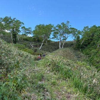 段差が大きく足元は良くない
前情報通り…