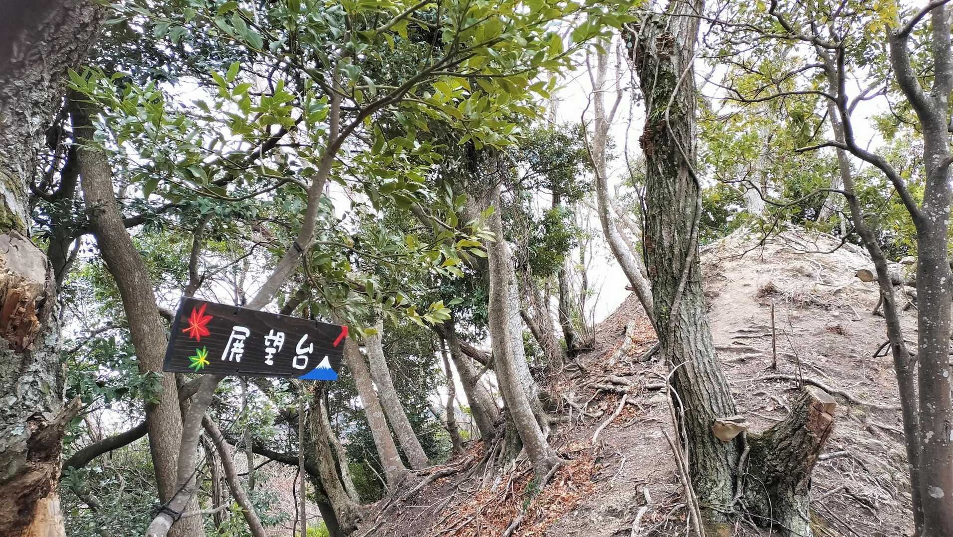 展望台は狭いピークで高所恐怖症の私は怖し。