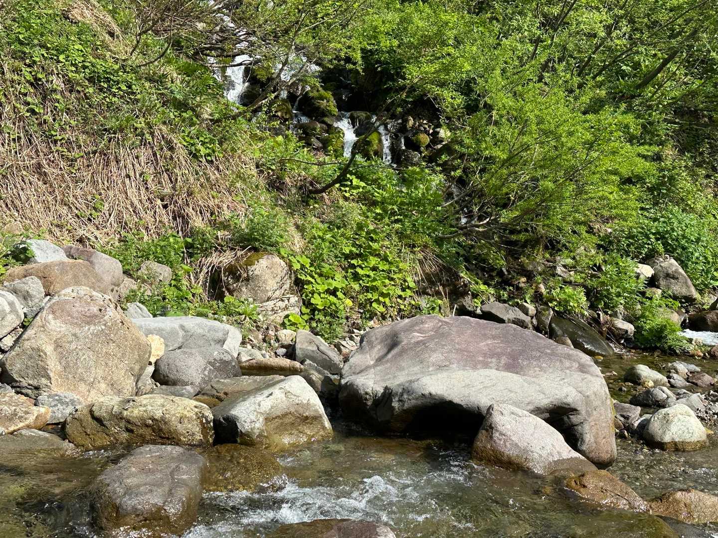 小原峠-赤兎山-裏赤兎山-杉峠-杉峠登山口 周回コースの写真