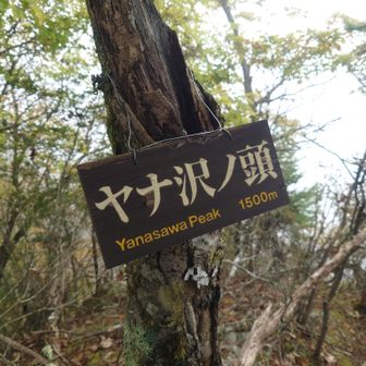 ヤナ沢ノ頭