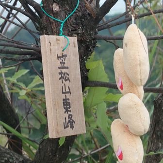 笠松山の東峰