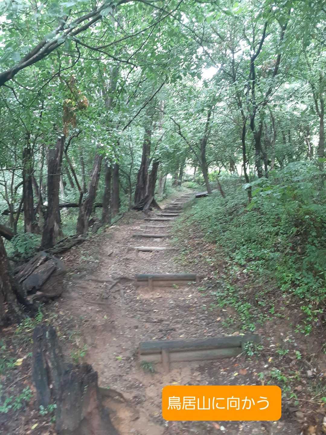 🌂は手放せず鳥居山へ向かう