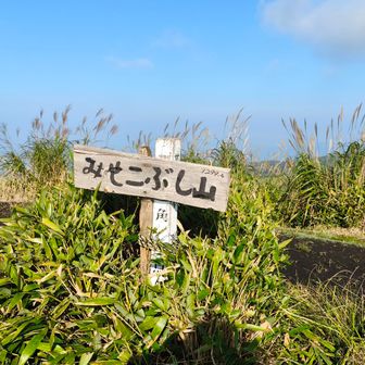 巻き道があります
帰りに通りましたがお勧めしません