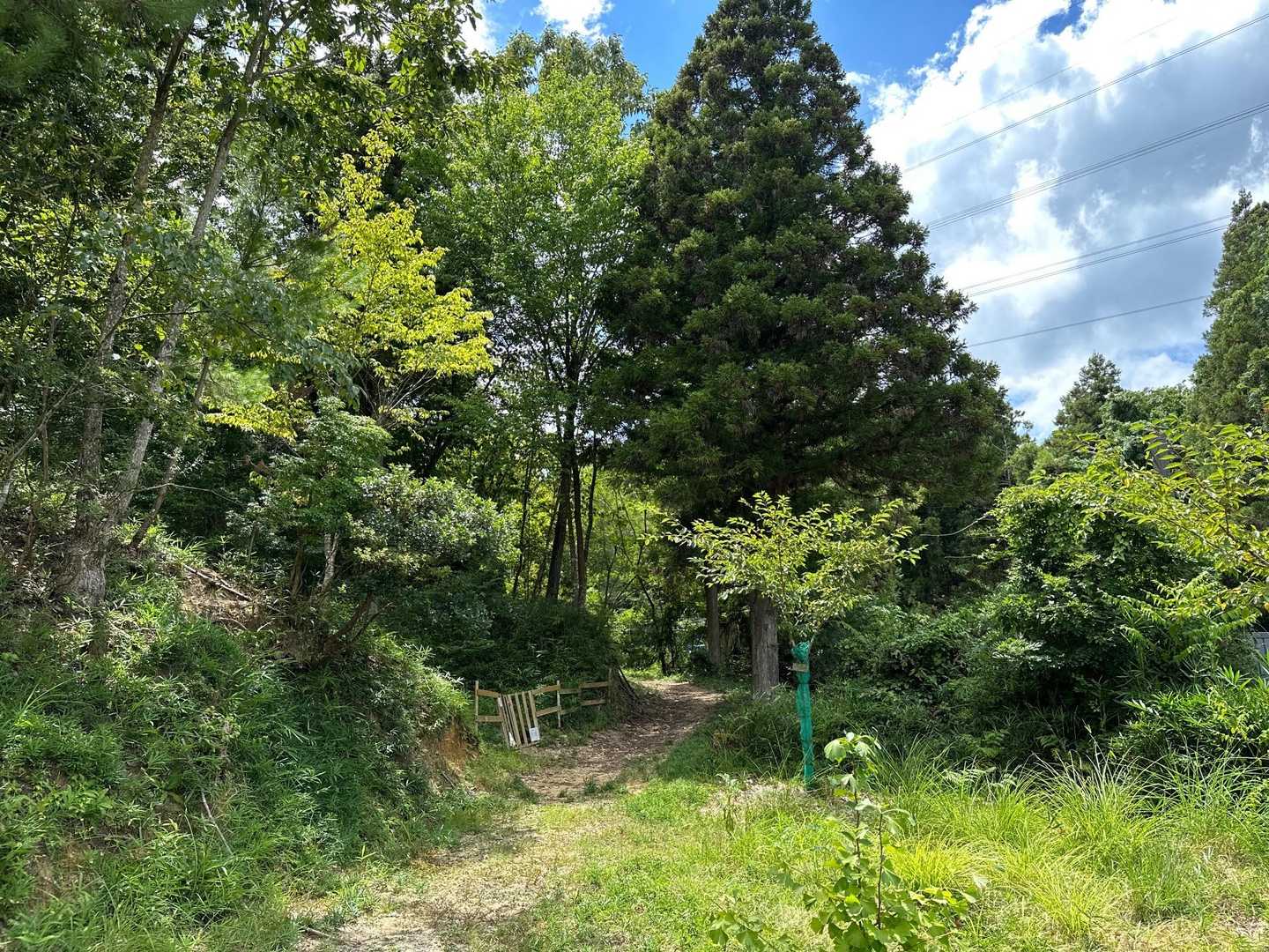 こちらから出てきました。