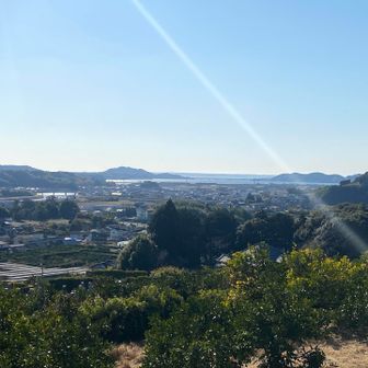 正直なところ稲荷山は行かなくても良かったかも｡｡｡