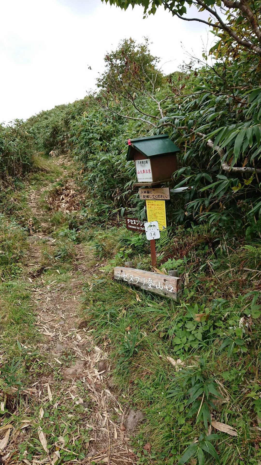 🅿️横にある登山口