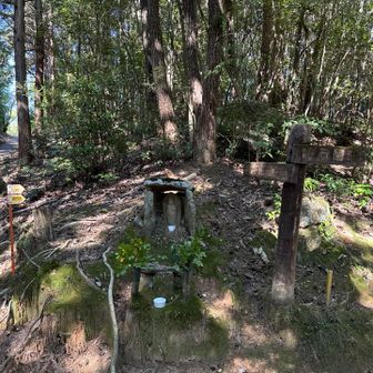 歌石園地への分岐