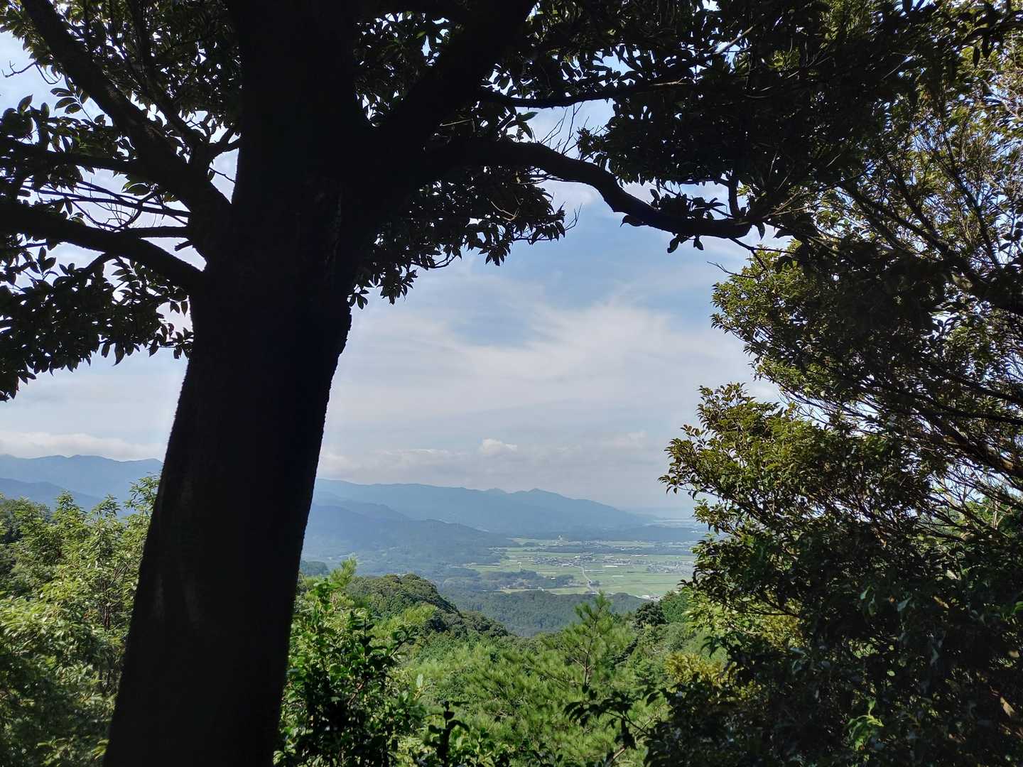 糸島方面が見えました。