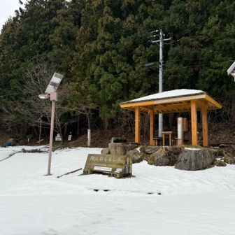 ここまで来るとまあまあの積雪