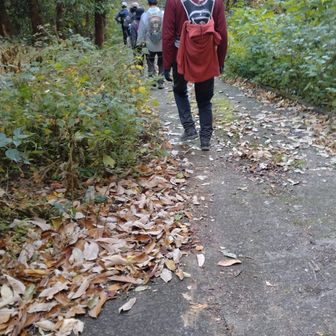 お疲れ様でした