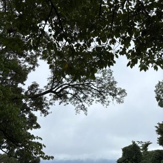 富士山は見えず