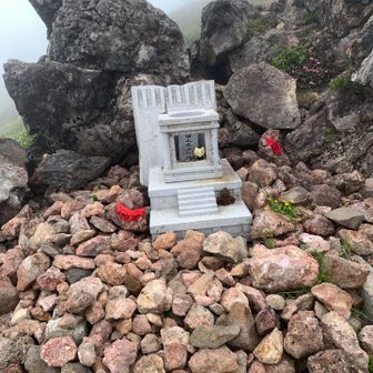 屋根が後ろに！