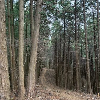 少し登りが見えるのも、先に何があるのか、ワクワクします