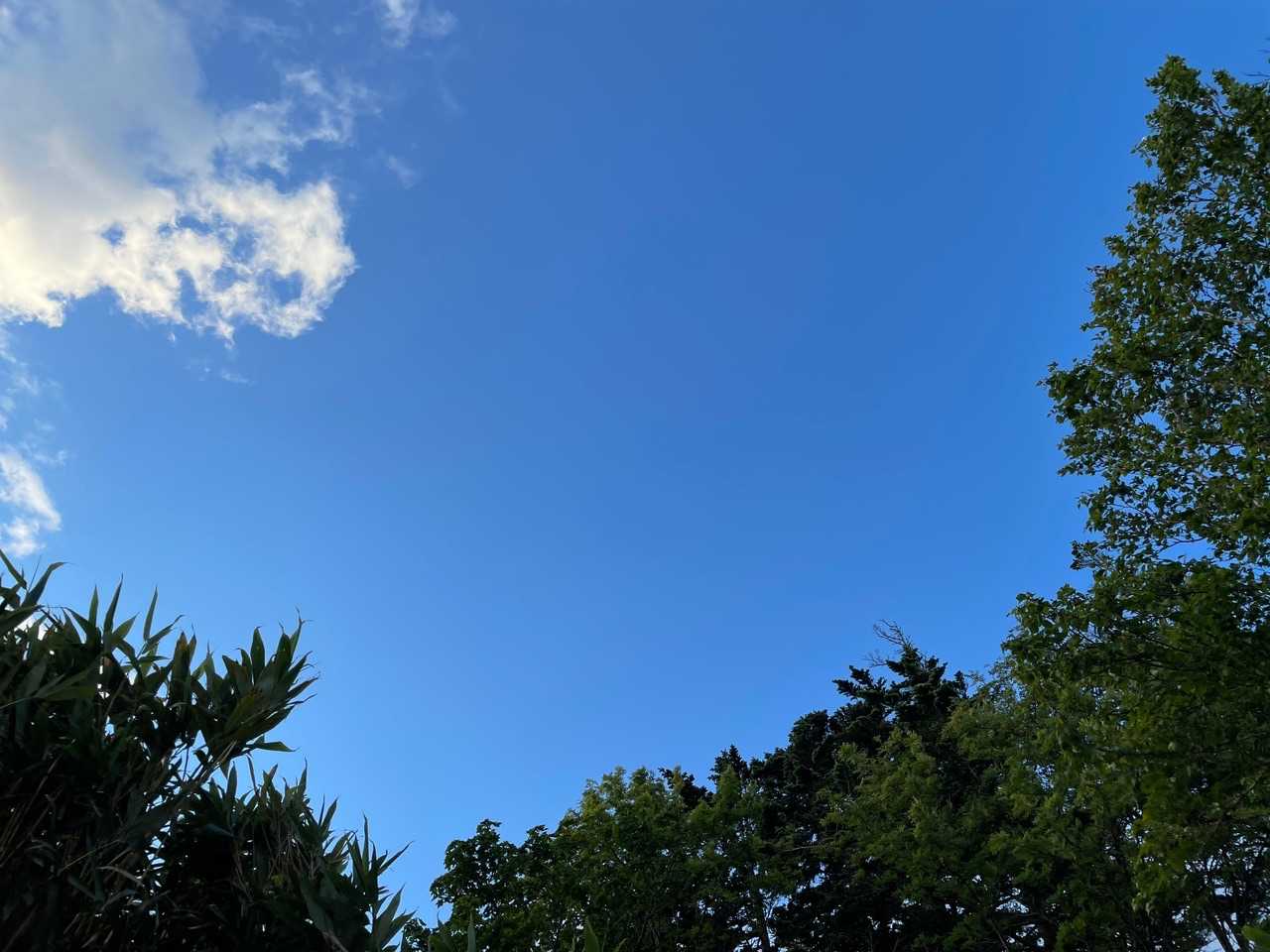 青空だよ〜、、ここはまだ🤣