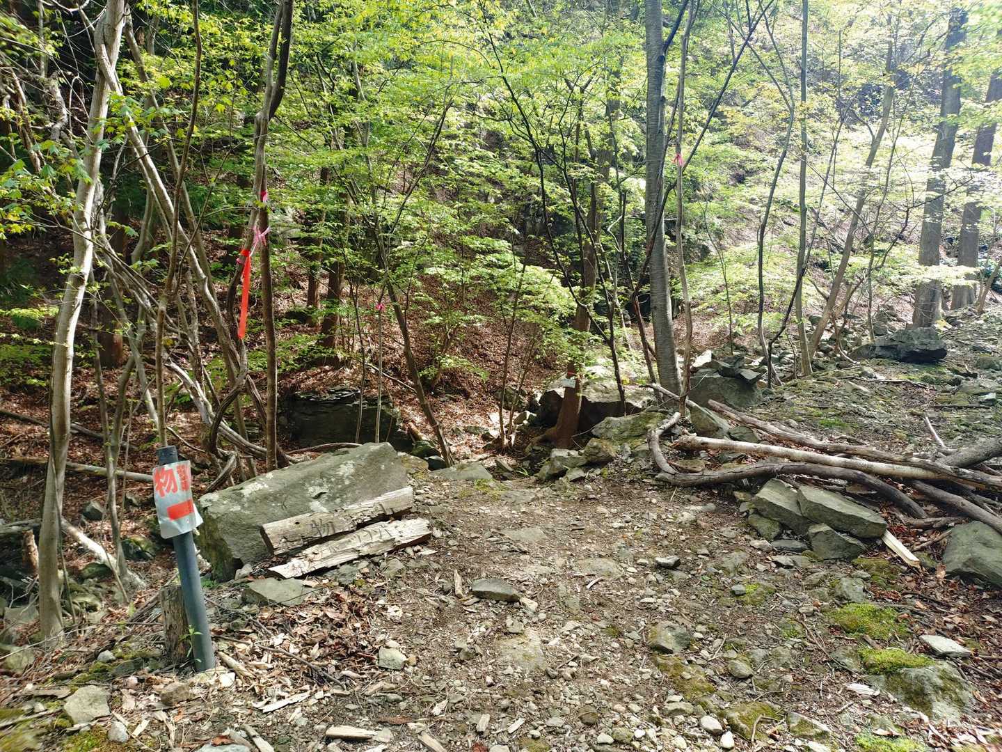 林道歩きも終わりようやく登山口