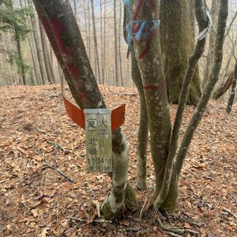 見過ごしてしまいそうになる山頂