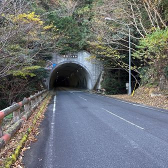 トンネルの右手前から山に入る
