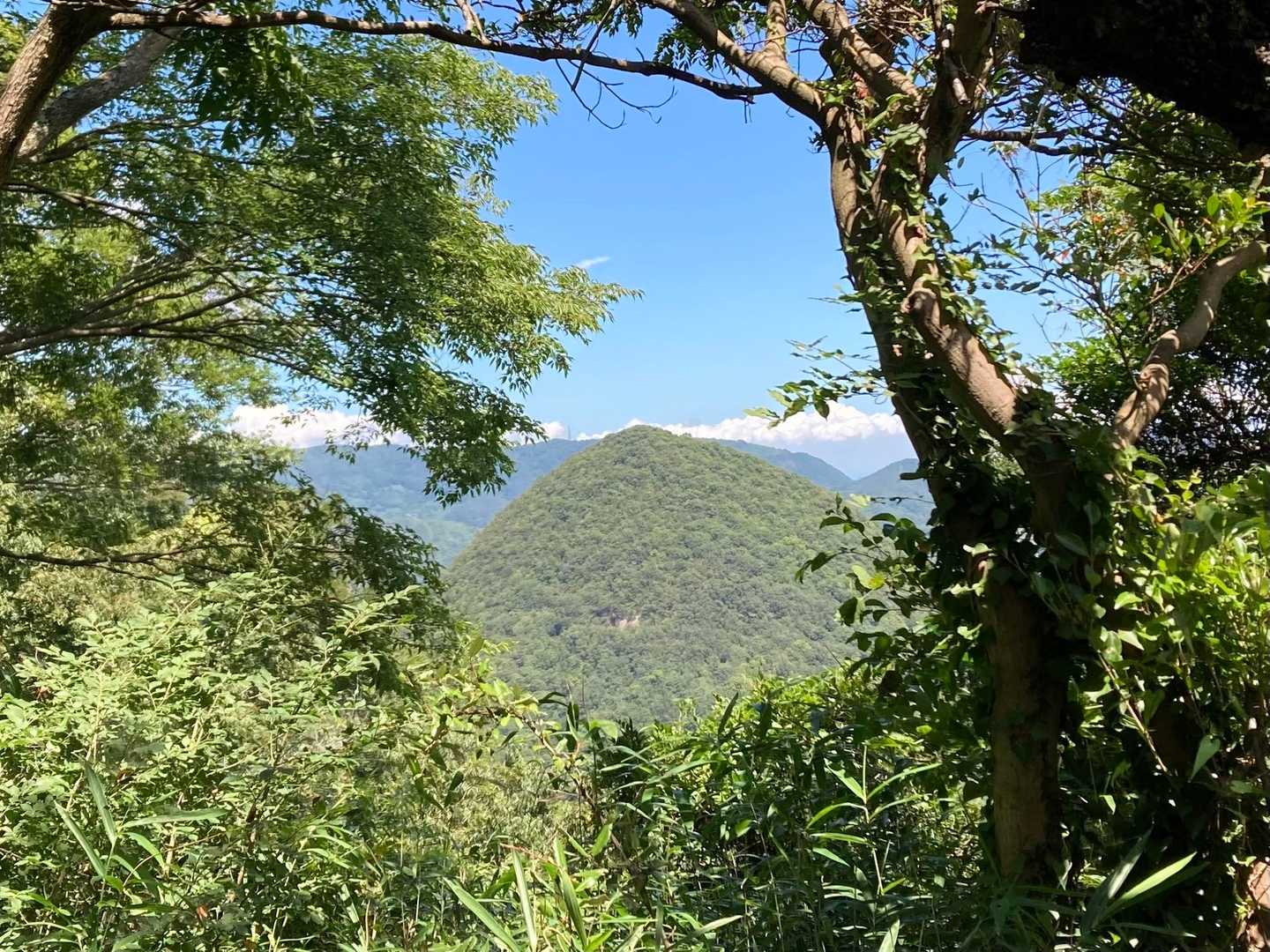 六ツ目山
登ったのはもう10年前かなぁ😂