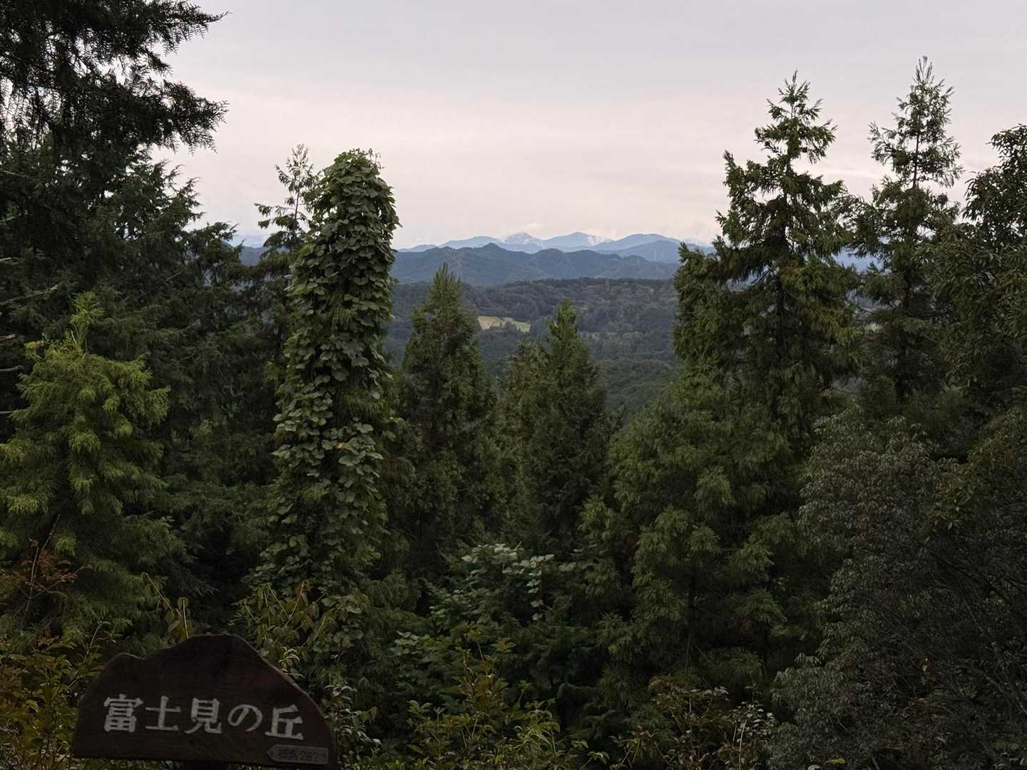 柏木山 往復コースの写真
