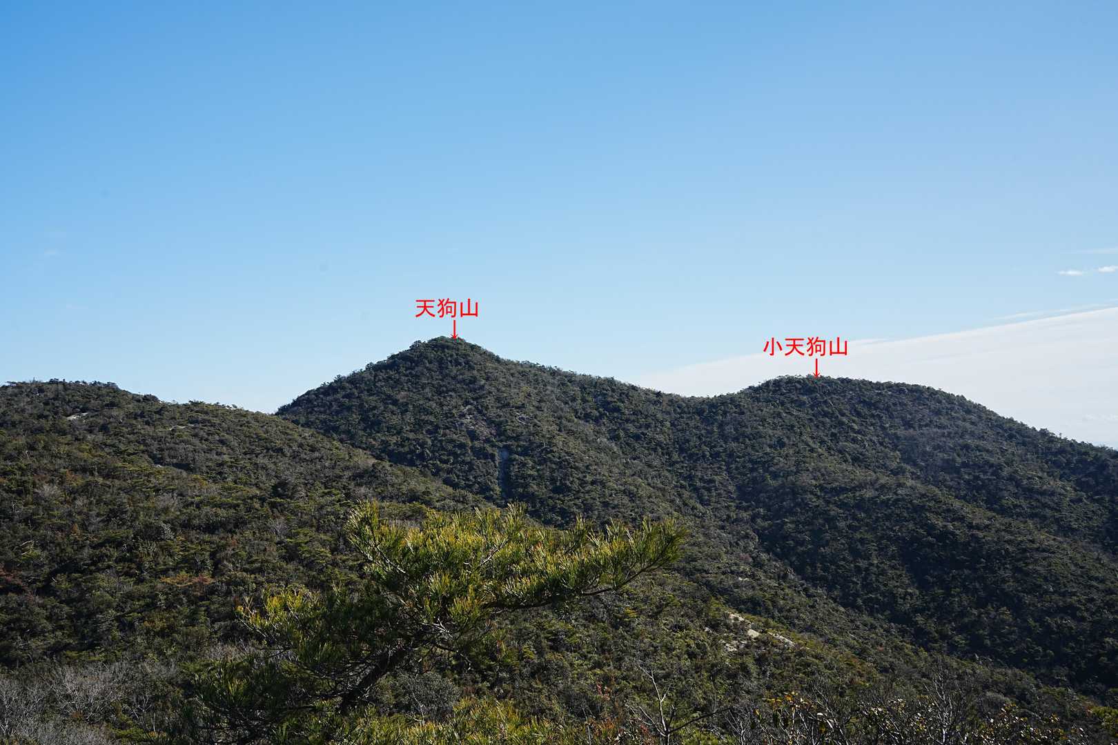 先程まで居た天狗山。