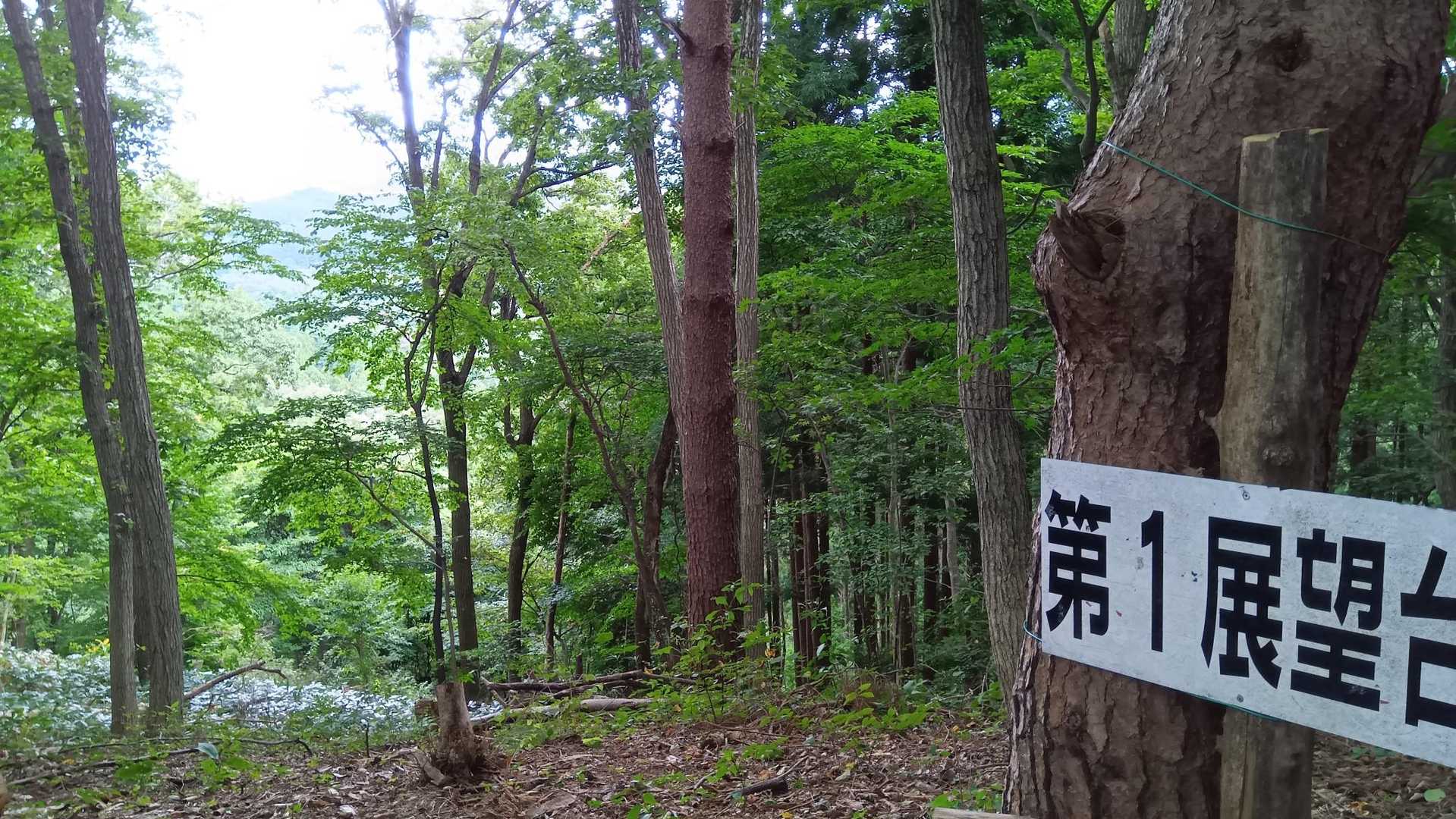 展望台。数少ない眺望ポイント、広く整備されてます。