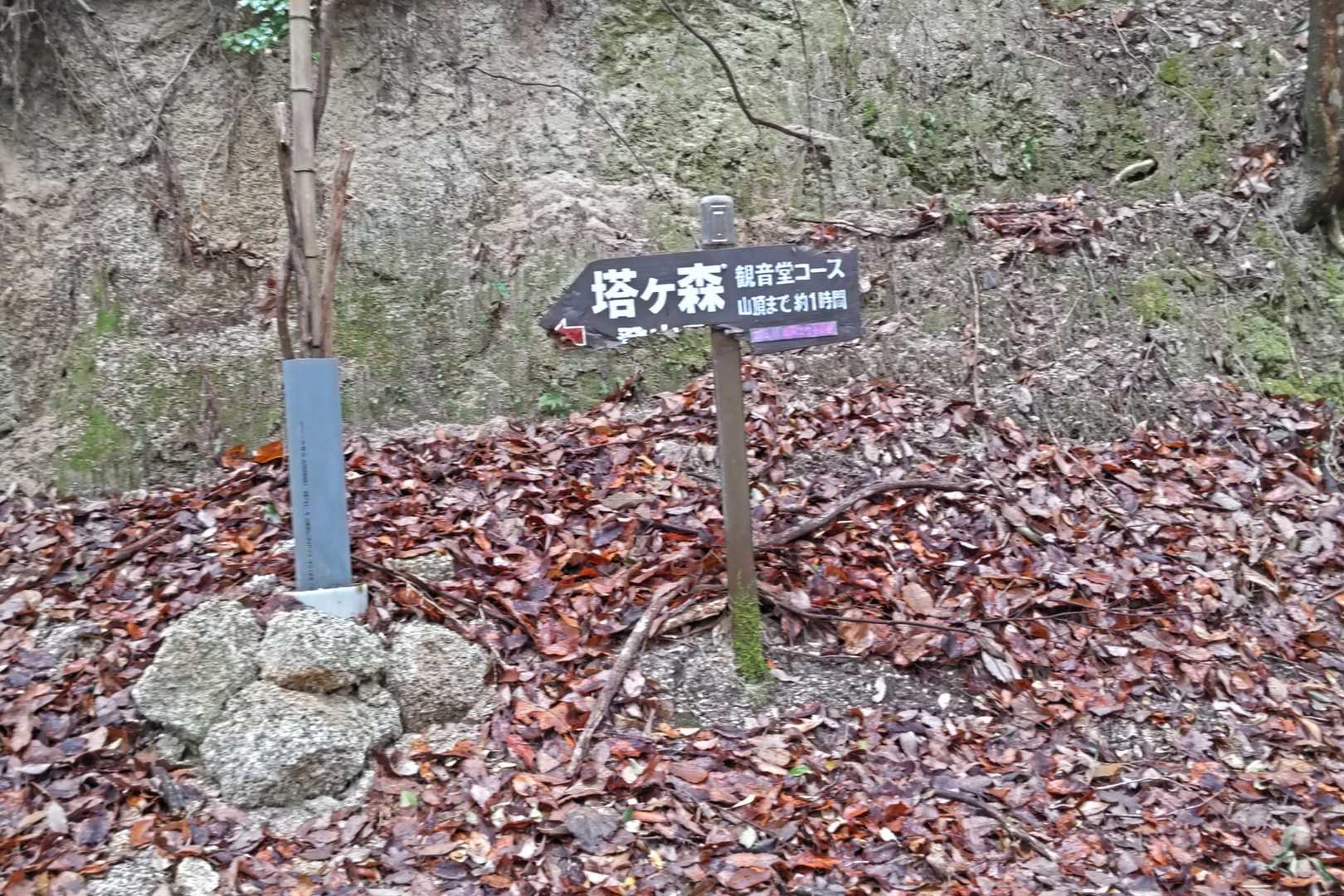 塔ヶ森 周回コースの写真