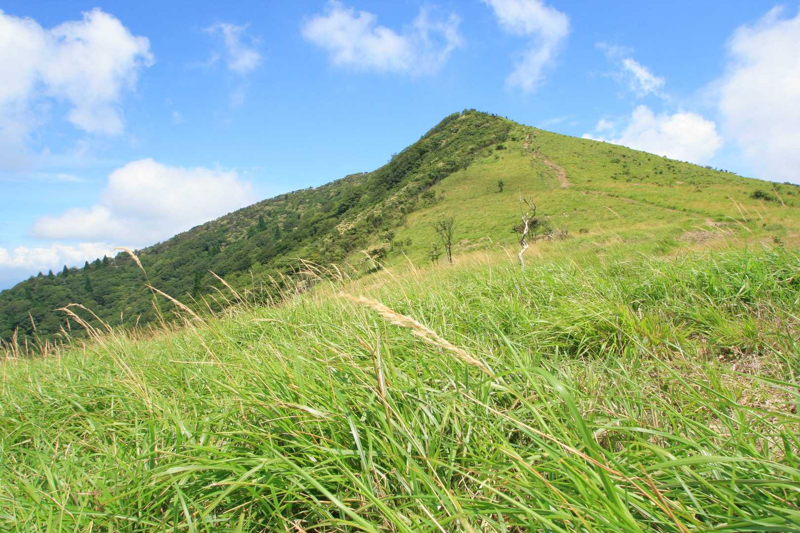 武奈ヶ岳の写真