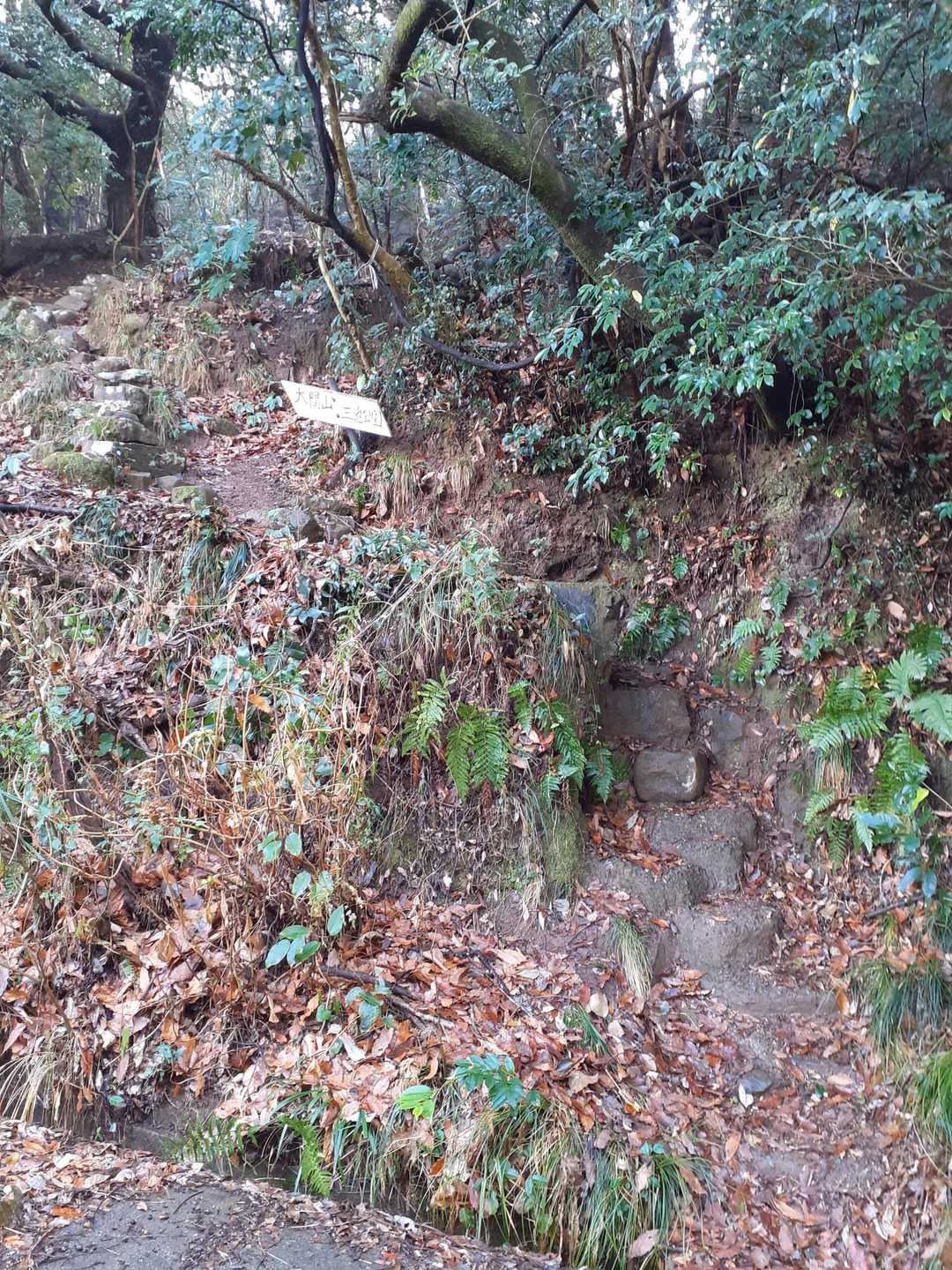 こちらが登山道☝️
整備されています😊