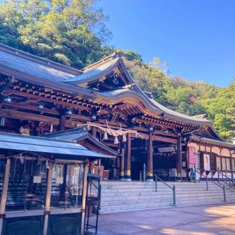 鹿嶋さんにも明日からのプロジェクトXの成功をお願いしました🙏
一願成就です🙏