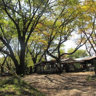 城山に到着