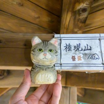 山頂標識あり