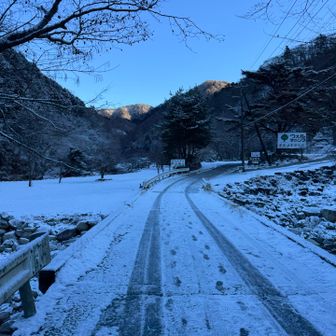 新松田からのバスの時間を見誤りタクシーでビジターセンターへ。高かった上に白い…