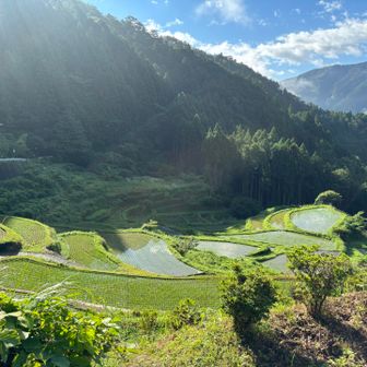 棚田