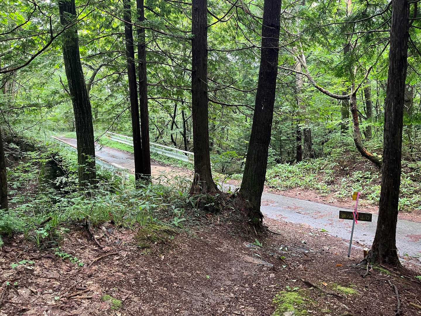 林道に下山〜♪
ここから車まで1.5km程です。
今回もご覧いただきありがとうございました。