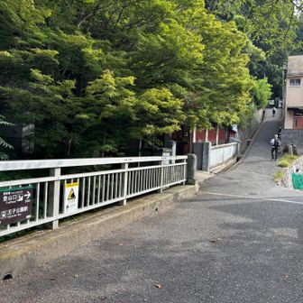 暑い時季ですが、ハイカーの方もちらほら。

ふだんはカフェの営業時間に合わせて行動しますが、夏の間は少し厳しそう…