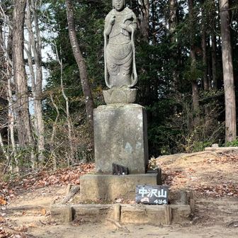中沢山