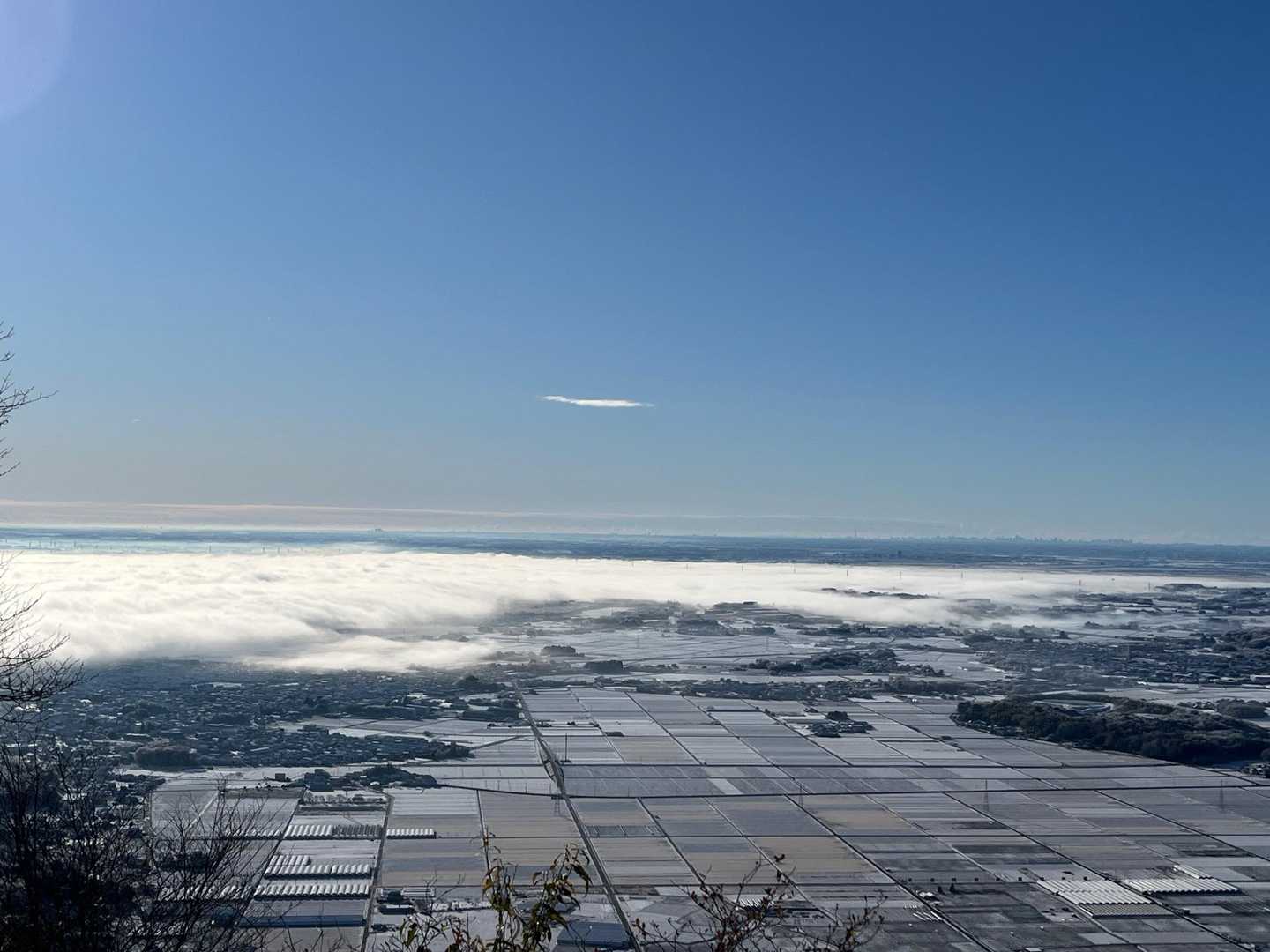 第二展望場より。朝街は濃霧