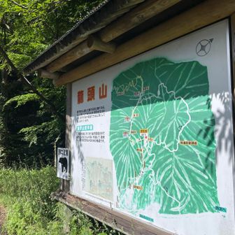 熊🐻注意⚠️

車道歩きの長い距離はちょっと〜という方は、今回使用した登りルートの単純往復かオススメです。