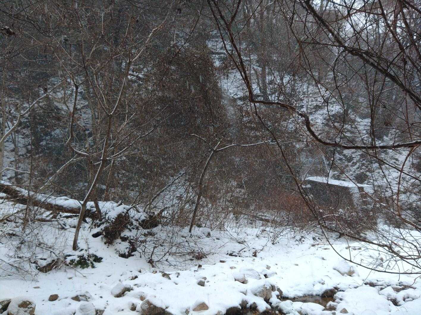 ここで一考。
せっかくの雪なんで白石谷を詰めたい気分でしたが最高峰からの時間を考えたらヤメとこってなりました。
気力衰えました。
もう1時間早く行くべきでした。