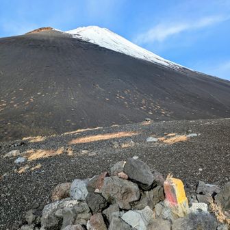 ✌️上塚山頂！　山名の標識らしき物は見当たりませんが、コチラには▲三角点がある！😤（下塚にも実は▲あった…😅）