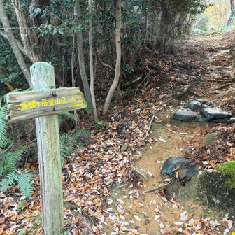蠑螺ヶ岳登山口に
戻って来ました😌